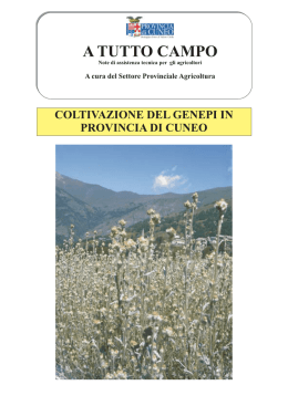 Scarica in formato pdf