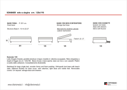 SOMMIER rete a doghe cm. 120x195
