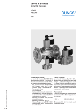 Valvola di sicurezza a riarmo manuale HSAV HSAV/5