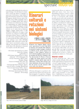 coltivazione della barbabietola da zucchero in regime biologico. Per