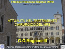 G.G. Magnanelli - Società Triveneta di Chirurgia