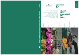 Scarica la relazione finale - Parco Nazionale delle Foreste