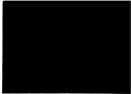 Page 1 Page 2 Modifica N. 10 EIMM S.A.C.