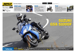 SUZUKI GSX-S1000F