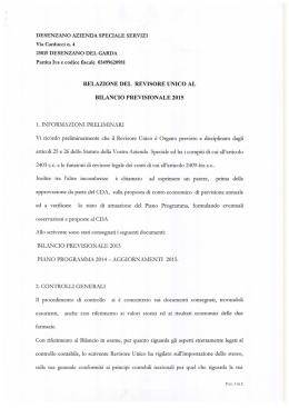 RELAZIONE DEL REVISORE UNICO AL
