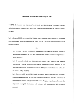 Verbale del Revisore Unico n.7 del 1 agosto 2015
