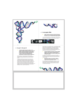 pdf - La doppia elica del DNA 50 anni dopo