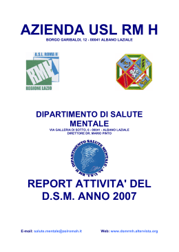2007 - DSM RMH