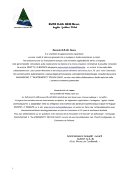 EURO CIN GEIE News luglio / juillet 2014 Amministratore Delegato