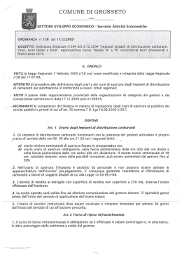 Ordinanza n. 156 del 17/12/2009