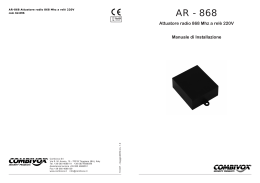 AR - 868