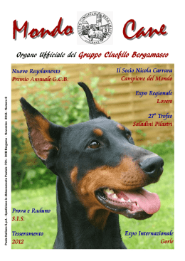 n. 08 - novembre 2011