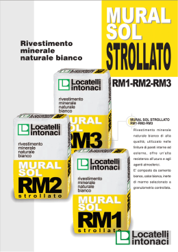 MURALSOL RM 1-2-3