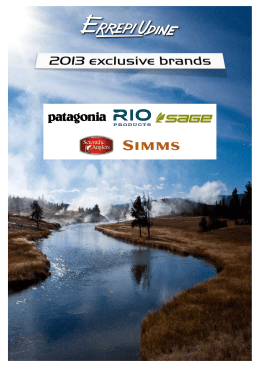 2013 exclusive brands