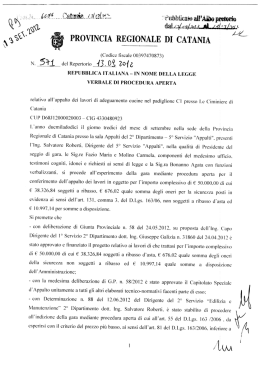 Verbale di gara - Provincia Regionale di Catania