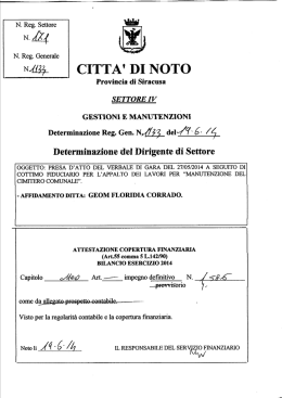 1133 - Comune di Noto