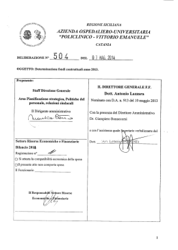 Delibera fondi 2013 N 504_14 CS2