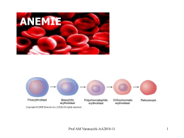 anemie - UnitÃ Funzionale di Ematologia