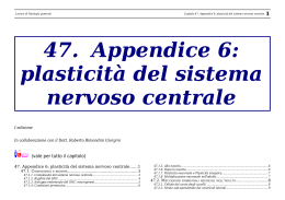47. Appendice 6: plasticità del sistema nervoso centrale