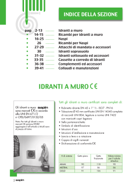 IDRANTI A MURO - Piemme Estintori