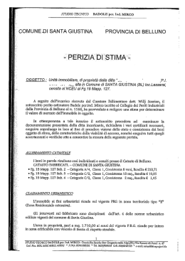 ÌCOMUNE DI SANTA GIUSTINA PROVINCIA DI BELLUNO