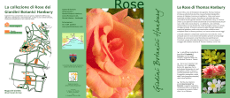 Depliant Rose - Giardini Botanici Hanbury