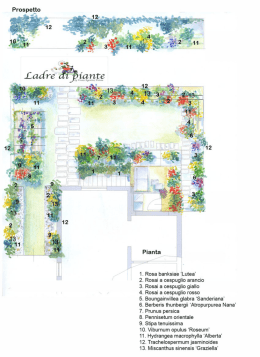 Page 1 Frosiner E&raquo;. Eerberis thunbergii Lifitroplurllmrea Nana1 5