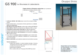 scn&deg;eoire&reg; - GRUPPO STROLA