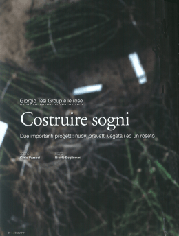 Costruire sogni