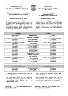 Verbale Consiglio Comunale