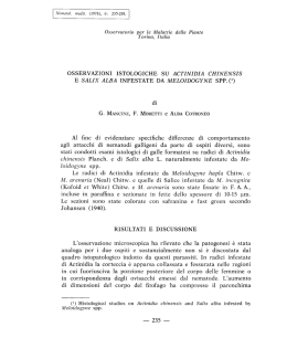 osservazioni istologiche su actinidia chinensis e salix alba infestate