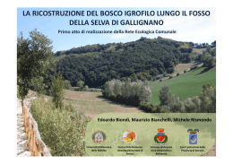 la ricostruzione del bosco igrofilo lungo il fosso della