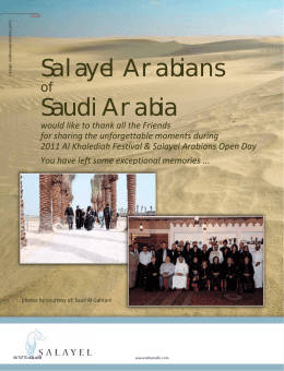 Salayel Arabians Saudi Arabia