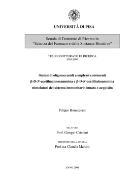 UNIVERSIT&Agrave; DI PISA Scuola di Dottorato di Ricerca in