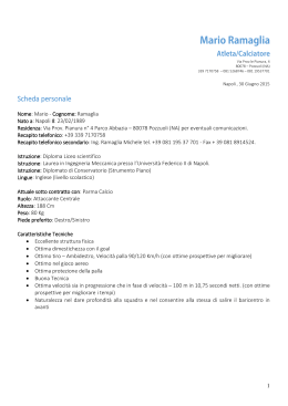 Curriculum - Mario Ramaglia