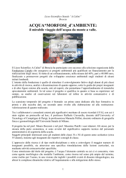 Liceo Scientifico Calini REPORT