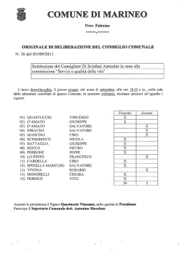 Sostituzione del consigliere Di Sclafani Antonino in seno alla