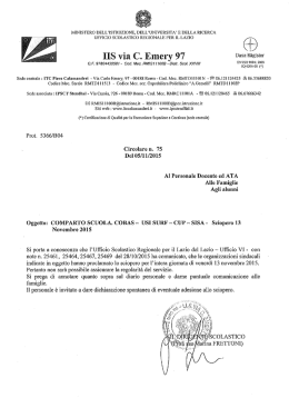 sciopero COBAS-USI SURF - CUP