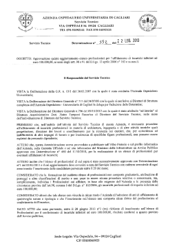 Determinazione n. 352 del 22.07.2013
