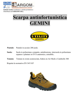 Scarpa antinfortunistica GEMINI Puntale