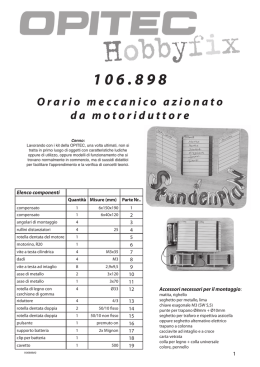 106.898 Orario meccanico azionato da motoriduttore