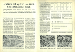L`attività dell`epitelio intestinale nell`eliminazione di sali