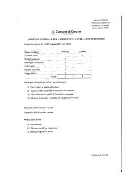 Verbale n. 1 del 29 gennaio 2011