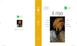 il riso - Image Line