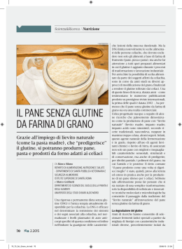 il pane Senza glutine da faRina di gRano