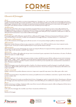 Visualizza e scarica il pdf