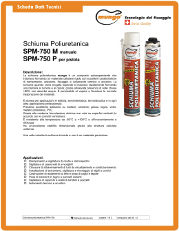 Schiuma Poliuretanica SPM-750 M manuale