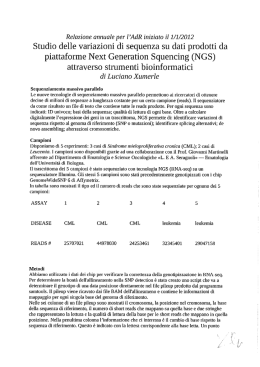 RELAZIONE (pdf, it, 670 KB, 12/7/12)