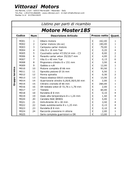Vittorazi Motors Motore Moster185