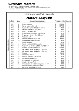 Vittorazi Motors Motore Easy100